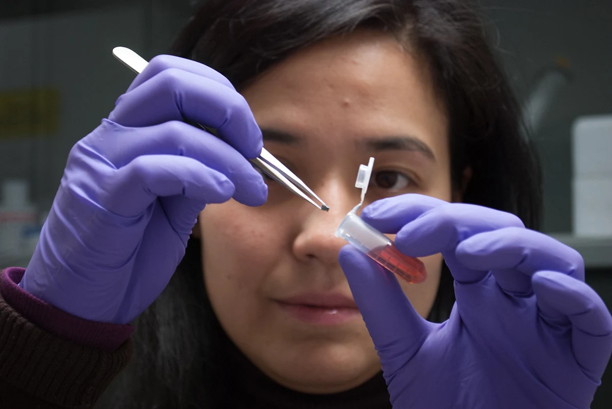 Priscila Monteiro Kosaka trabajando en el laboratorio